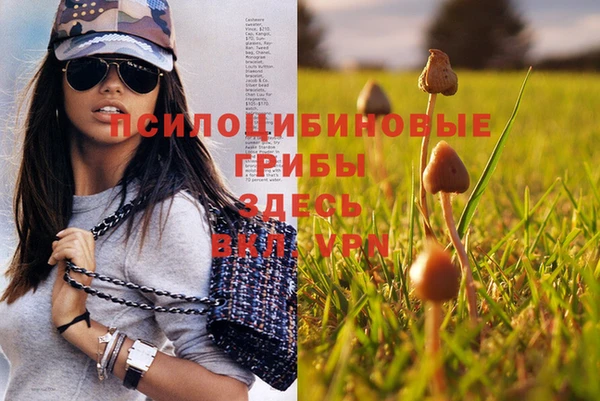 крисы Балахна